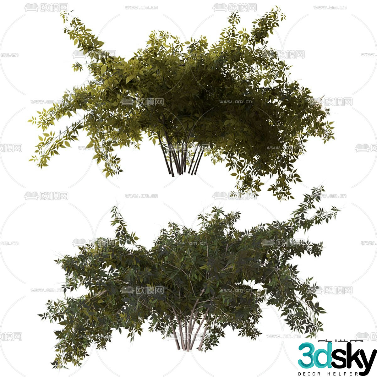 Trees Shrub Landscape Trees 3d Model