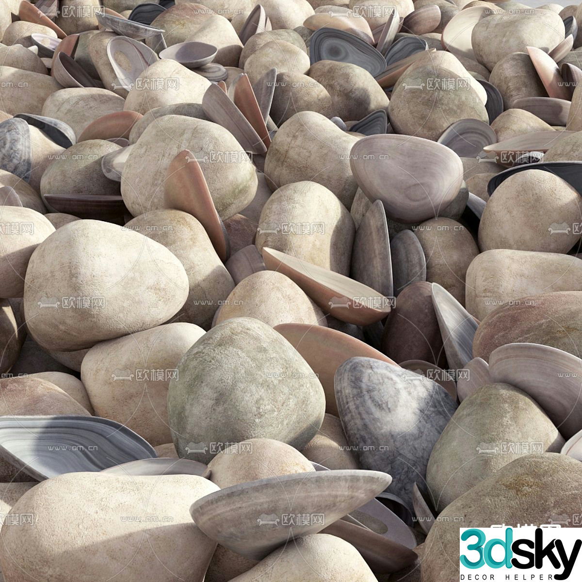 Shells Fritillaria Pebbles Gravel Beach Stones 3d model