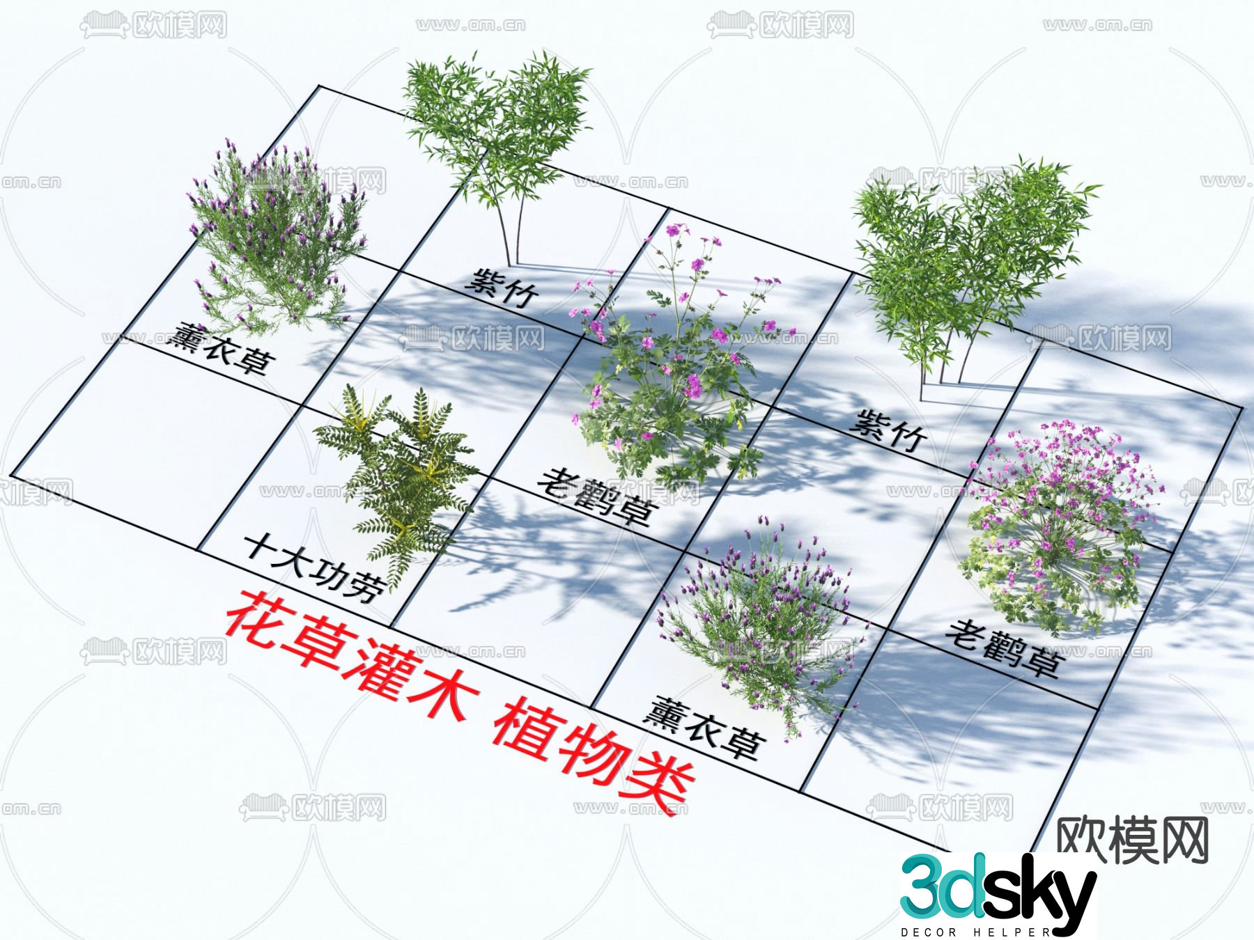 Top 10 Credits Lavender Geranium Purple Bamboo Shrub Flowers and Grass 3D Model
