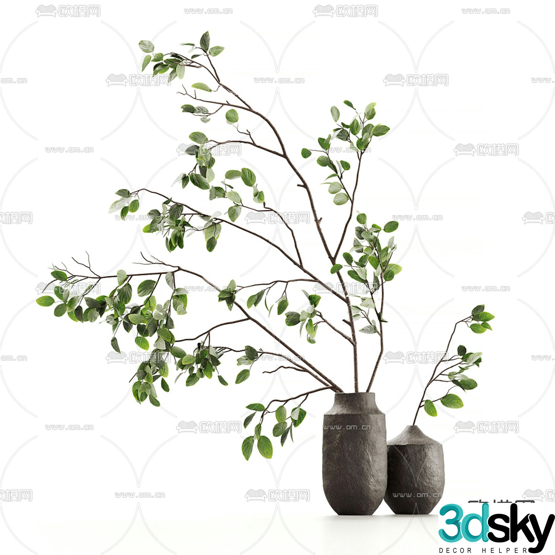Aquatic plants hydroponic green plants 3D model