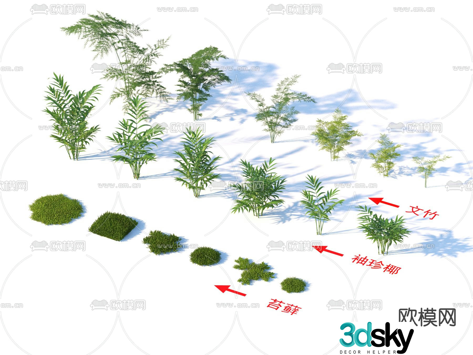 Moss bamboo pocket coconut shrub flowers and plants 3D model