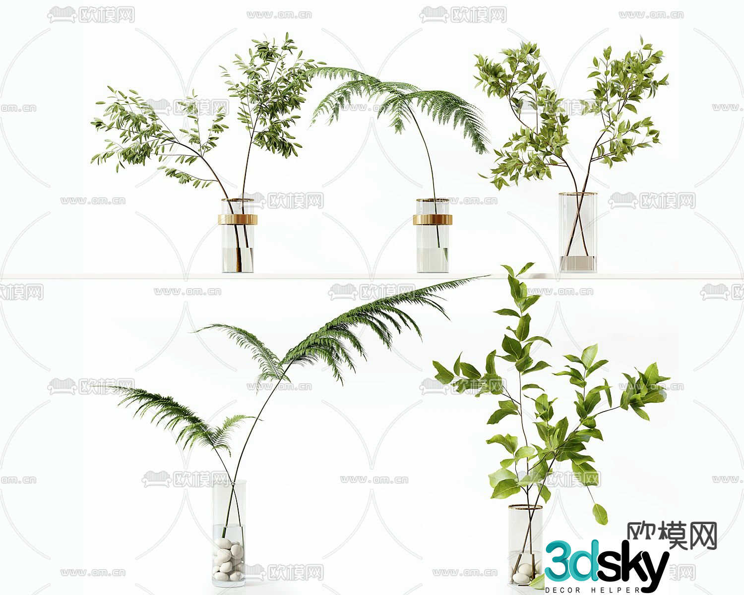 Modern aquatic plants glass potted plants 3D model