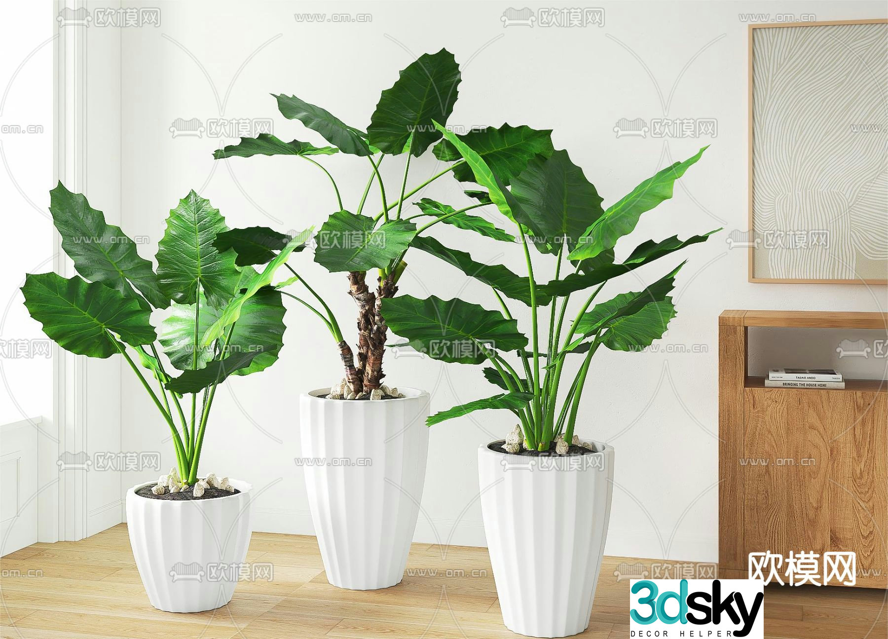 potted bonsai green plant 3d model