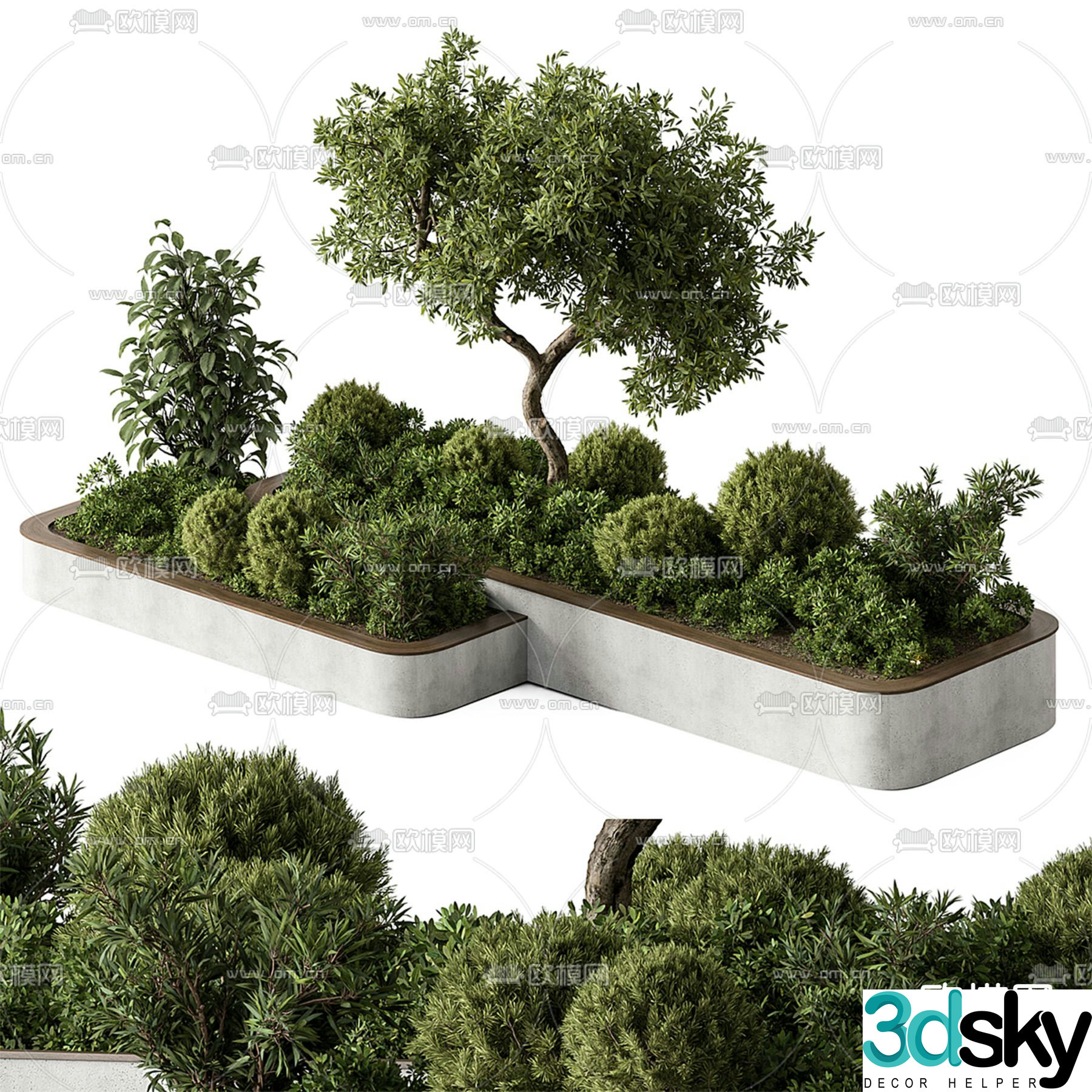 Tree Pool Viewing Tree Bar Green Plant 3D Model