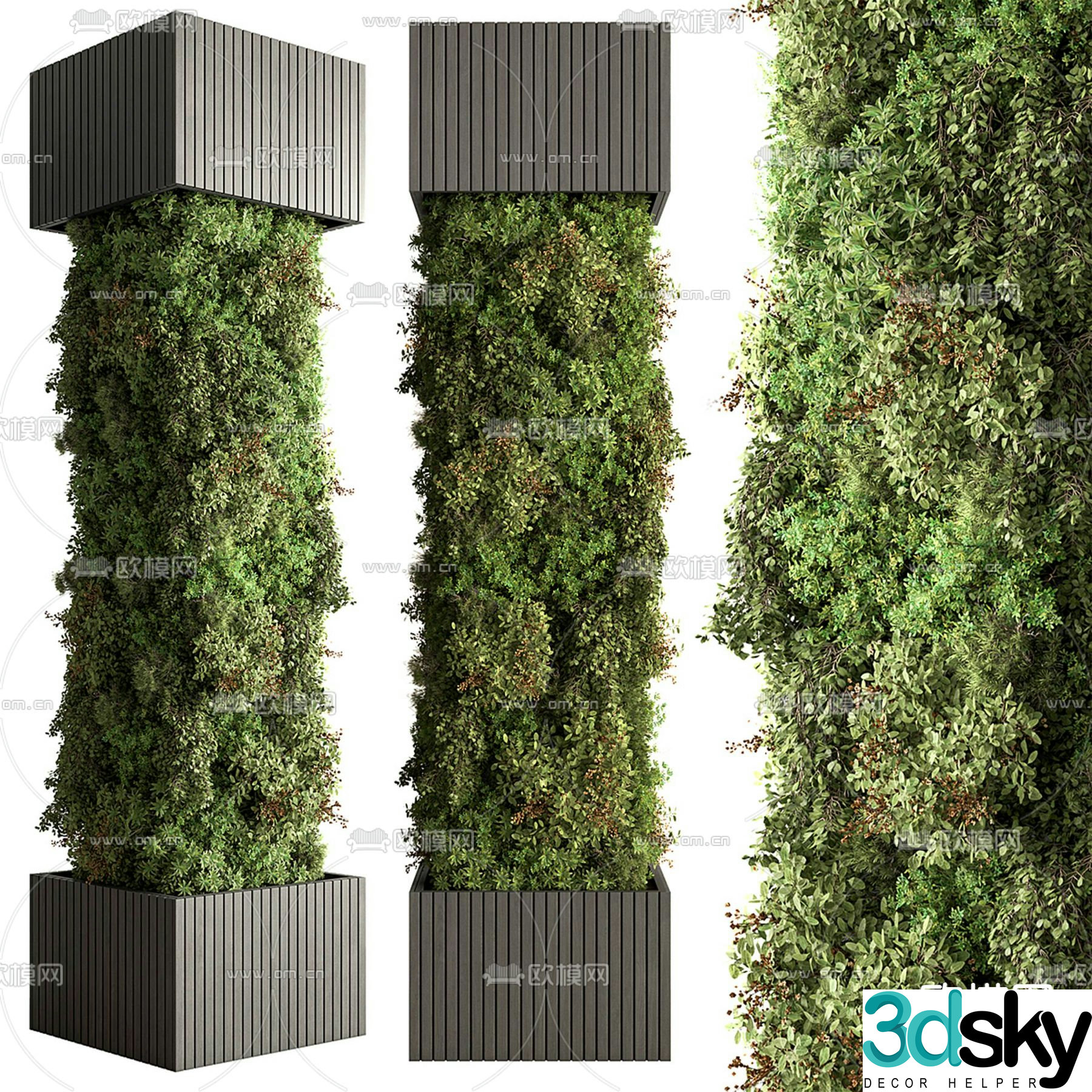 Green plant vine plant 3d model