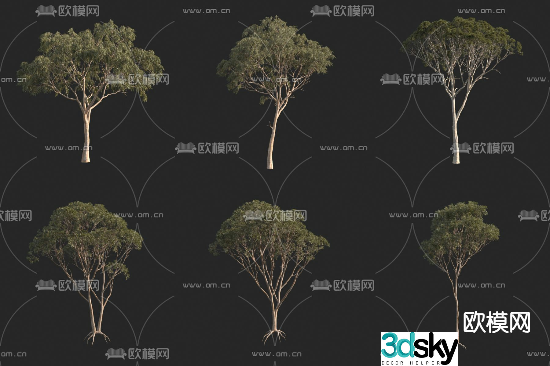 Australian eucalyptus landscape tree big tree 3d model