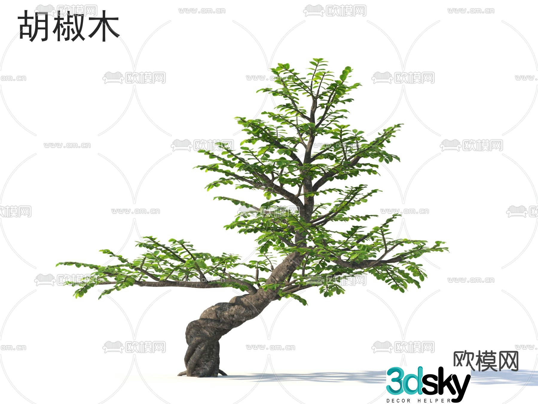 Pepperwood Tree 3d Model