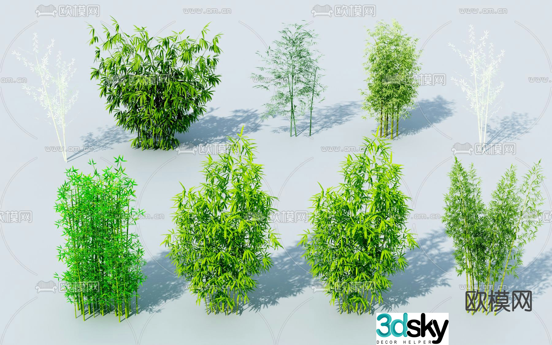 Bamboo rich bamboo green bamboo 3d model