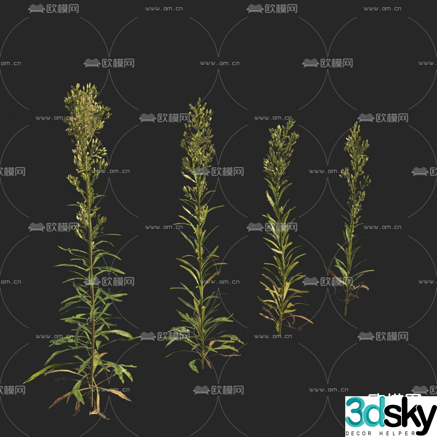 Little Puffed Weeds Little Puffed 3D Model