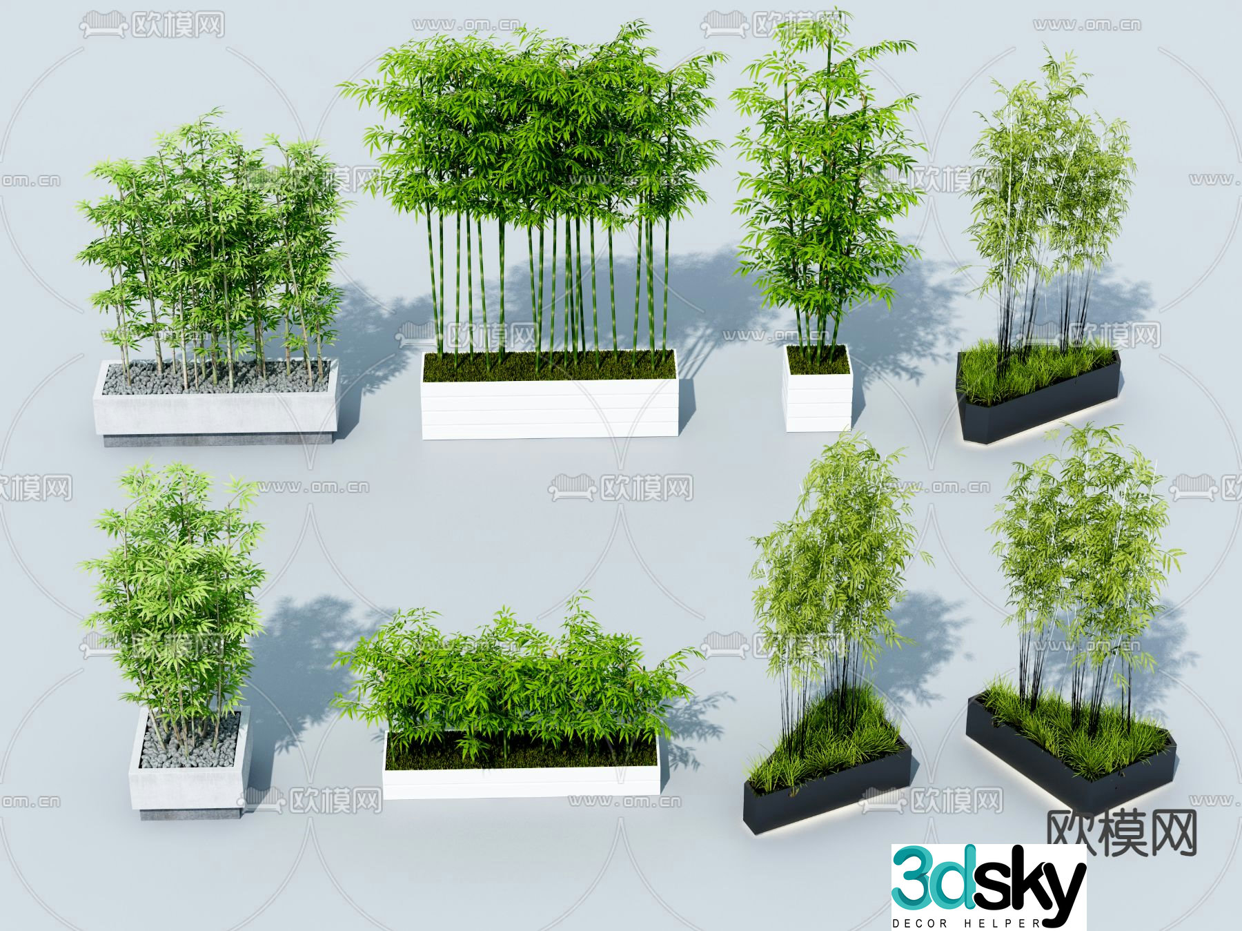 Bamboo rich bamboo green bamboo 3d model