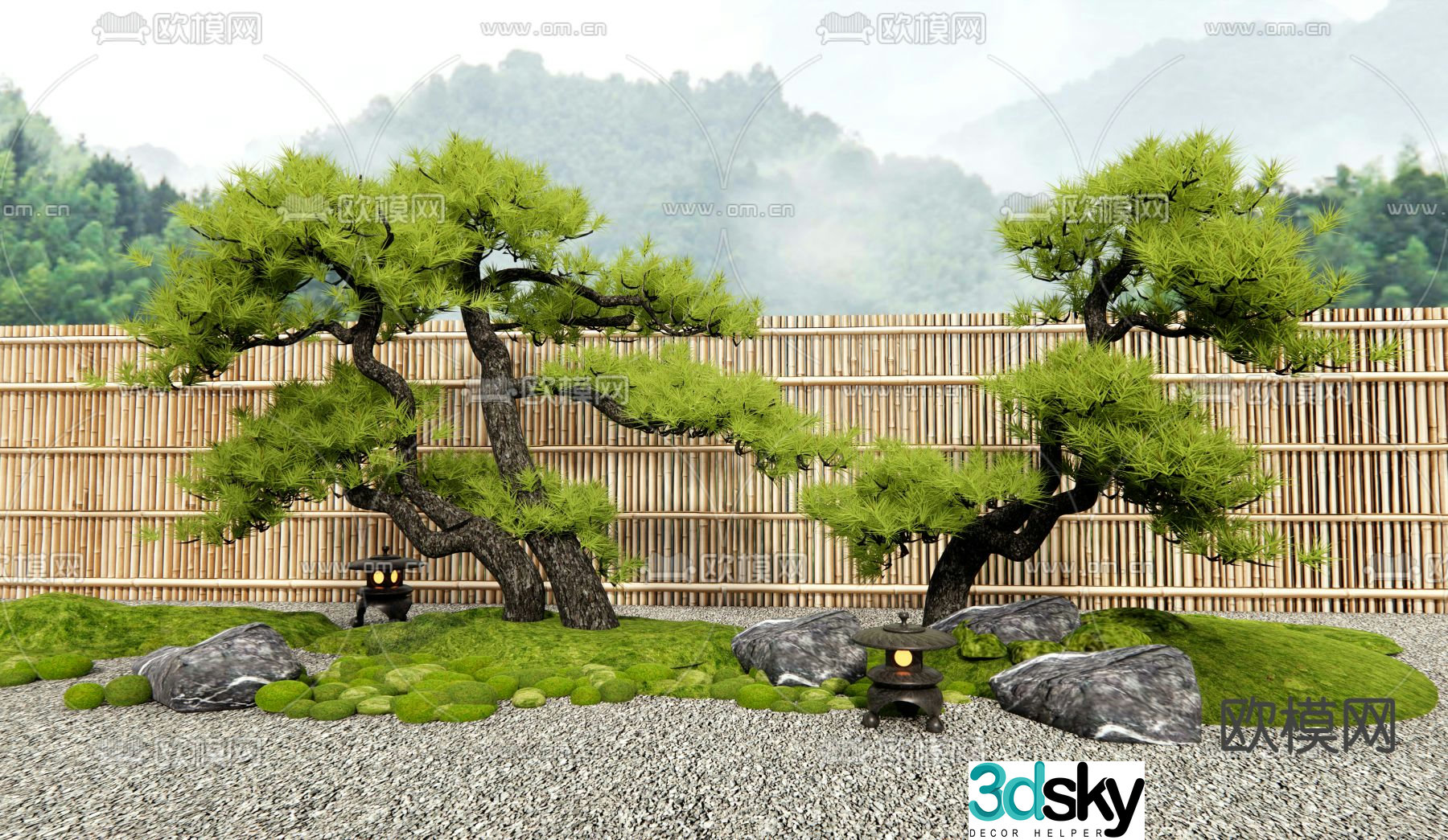 New Chinese style pine tree Podocarpus plant landscaping 3D model