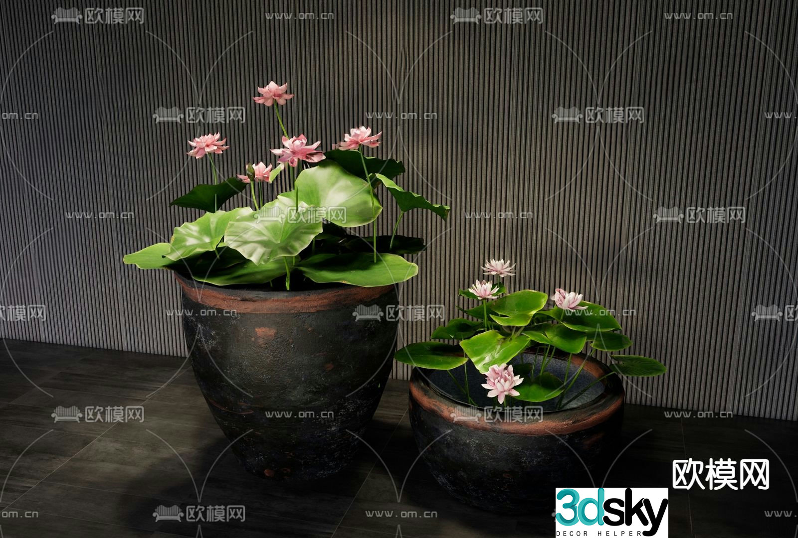 Chinese water tank lotus sketch 3D model
