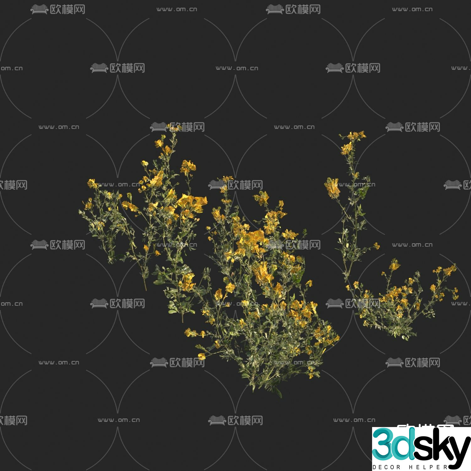 Flowers and plants Wild grass Yellow flowers 3d model