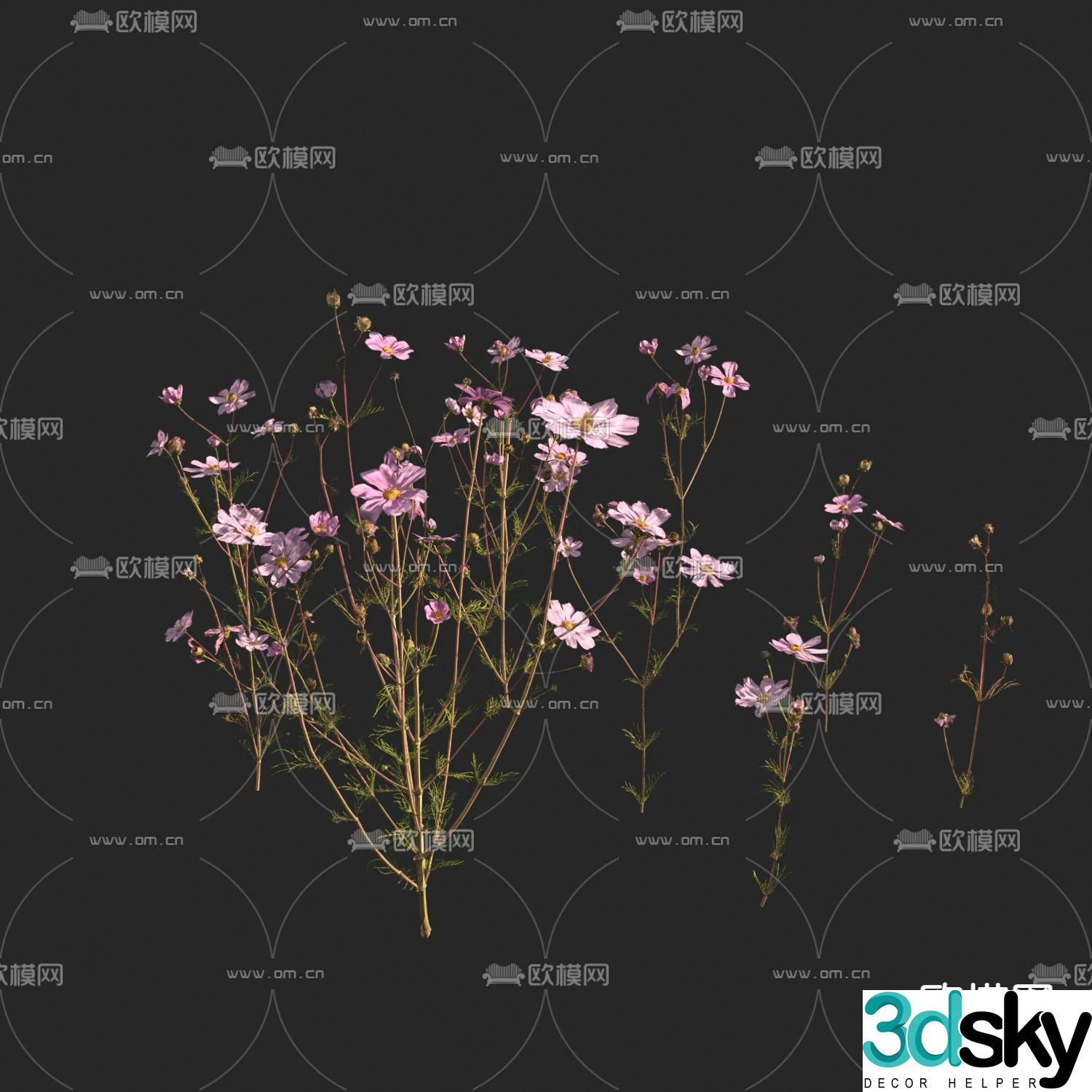 Flowers and plants Big Cosmos 3D model