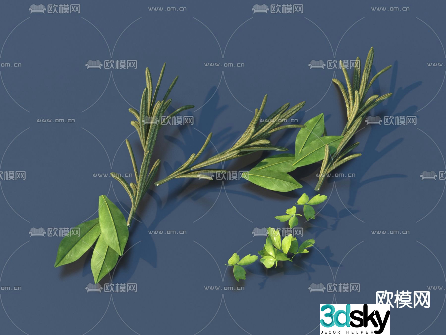 Side dishes Vegetables Coriander 3d model