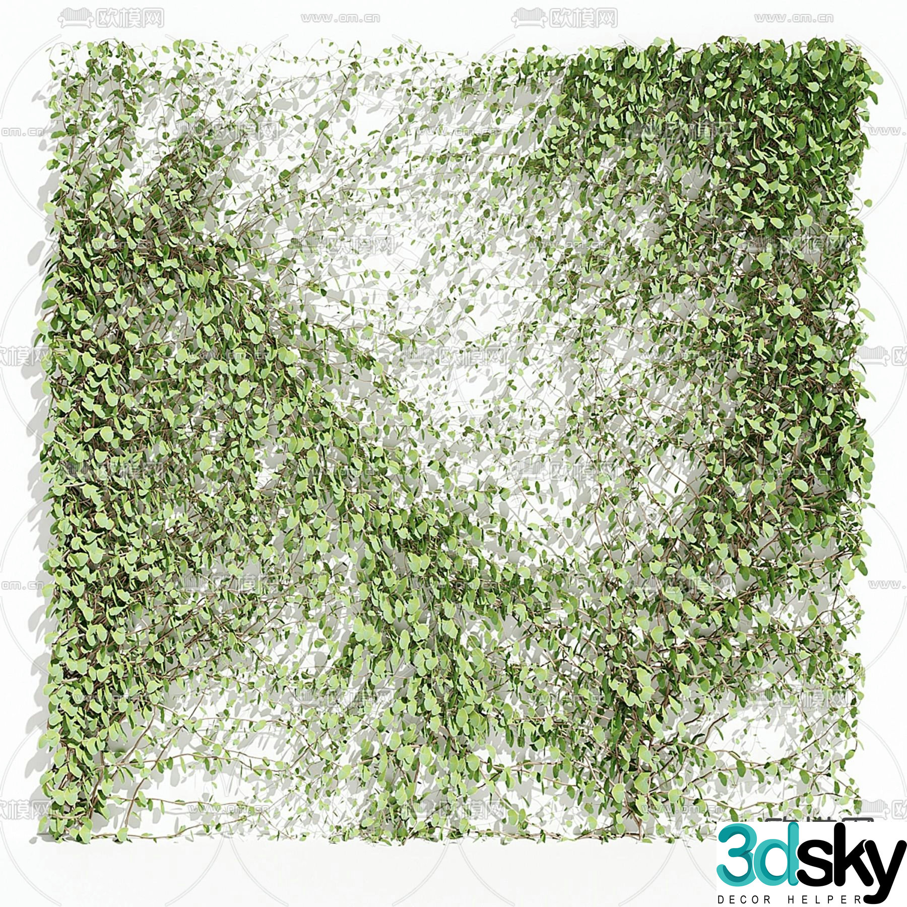 Vine green plants ivy plant wall 3d model