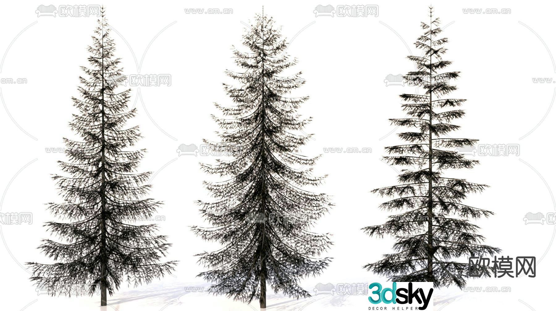 Cedar Pine Plant Landscape Tree 3D Model