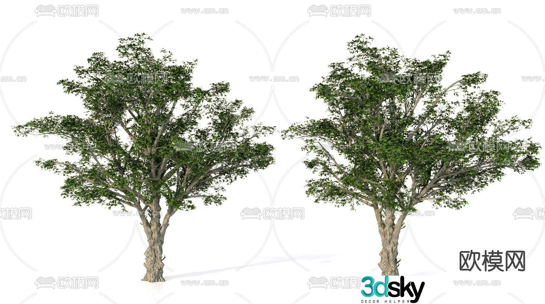 Trees Landscape Trees Street Trees Green Plants 3D Model