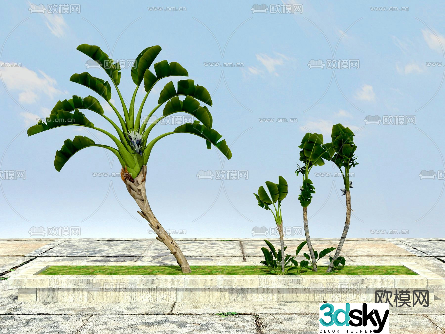 Tropical plants 3d model