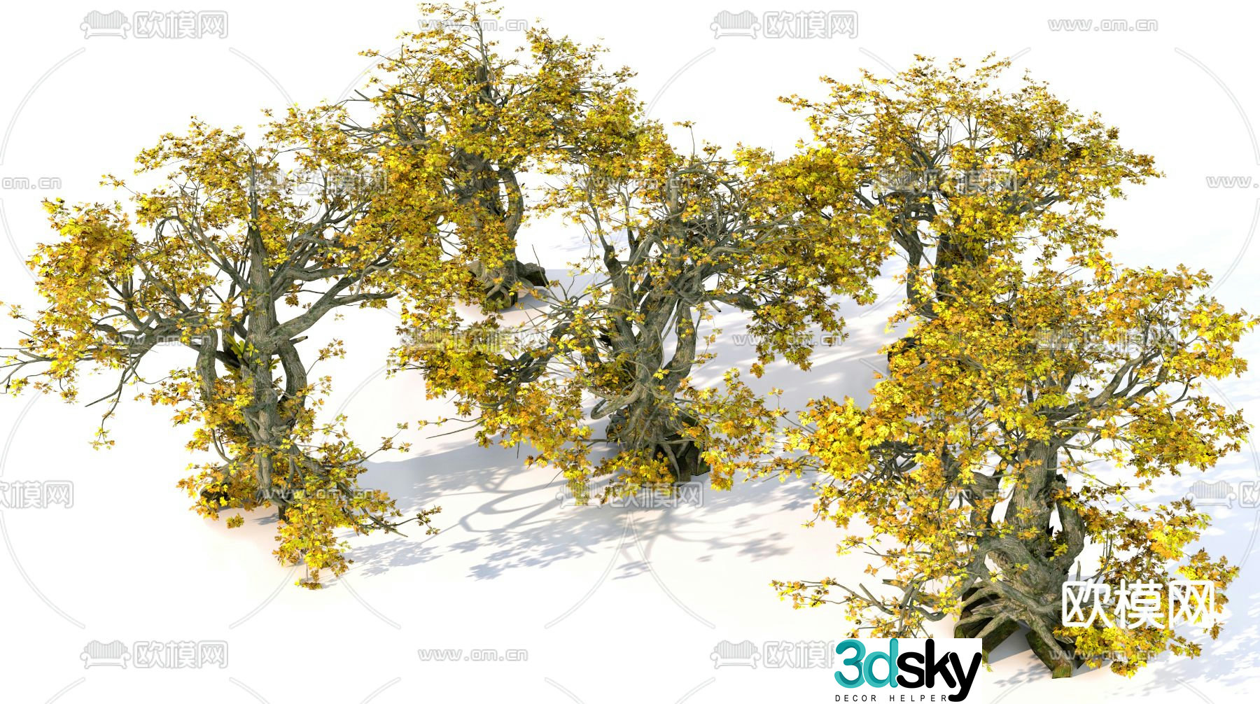 Big tree Landscape tree Maple 3d model