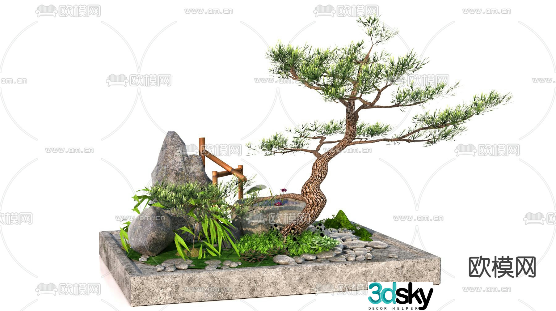 Podocarpus landscaping landscape sketch 3D model