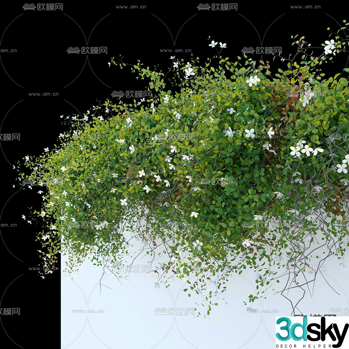 Modern green plant vine crawling wall 3d model