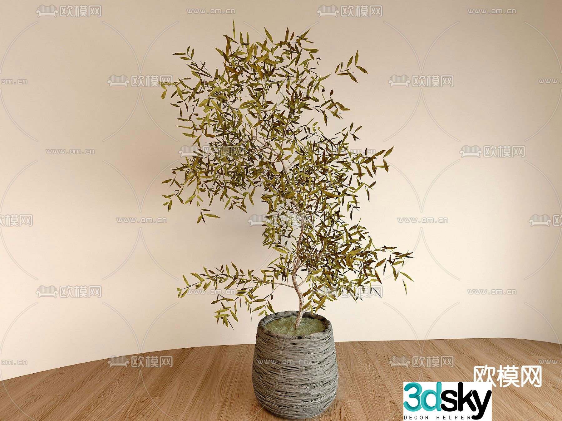 potted bonsai green plant 3d model