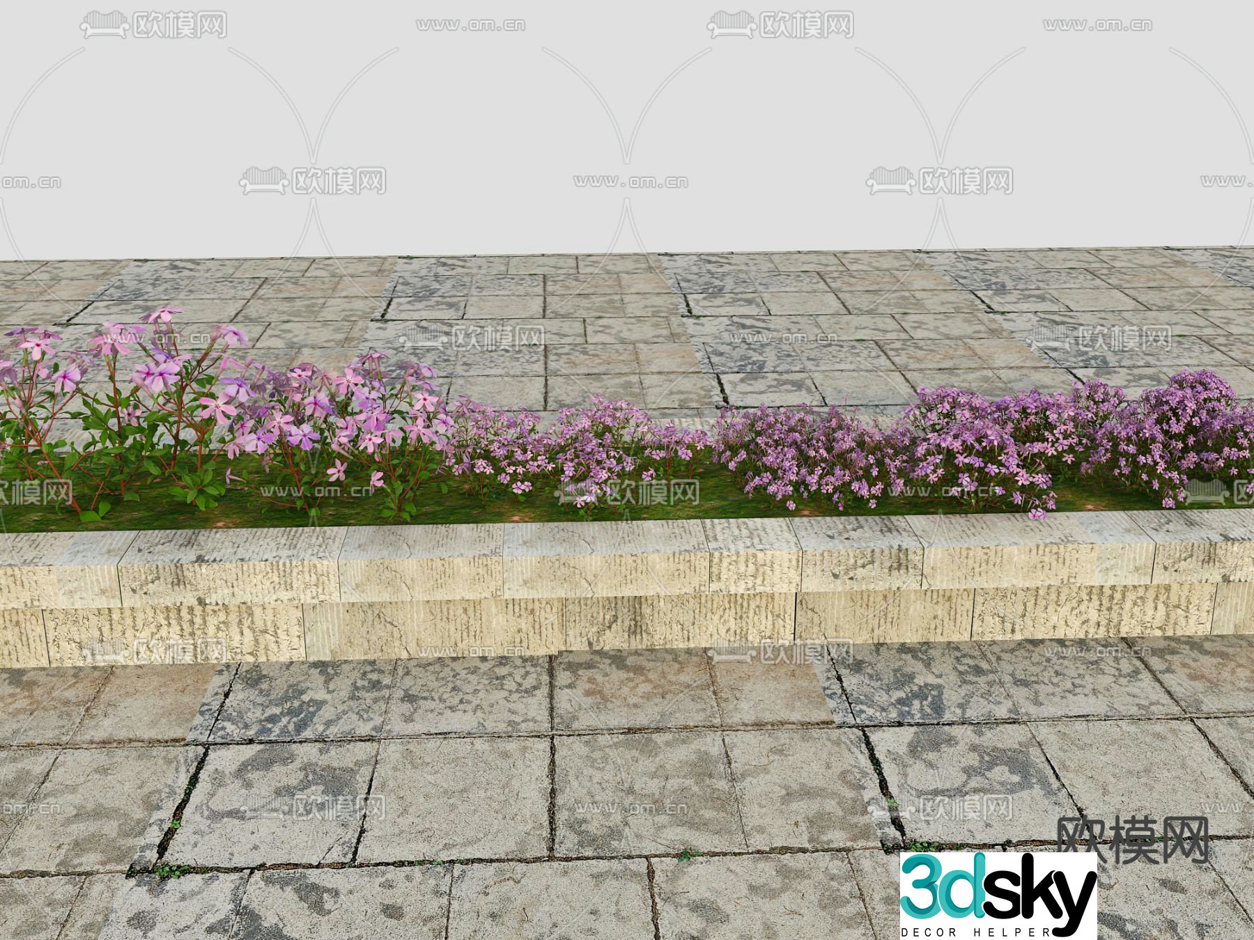 Flowers and plants 3d model
