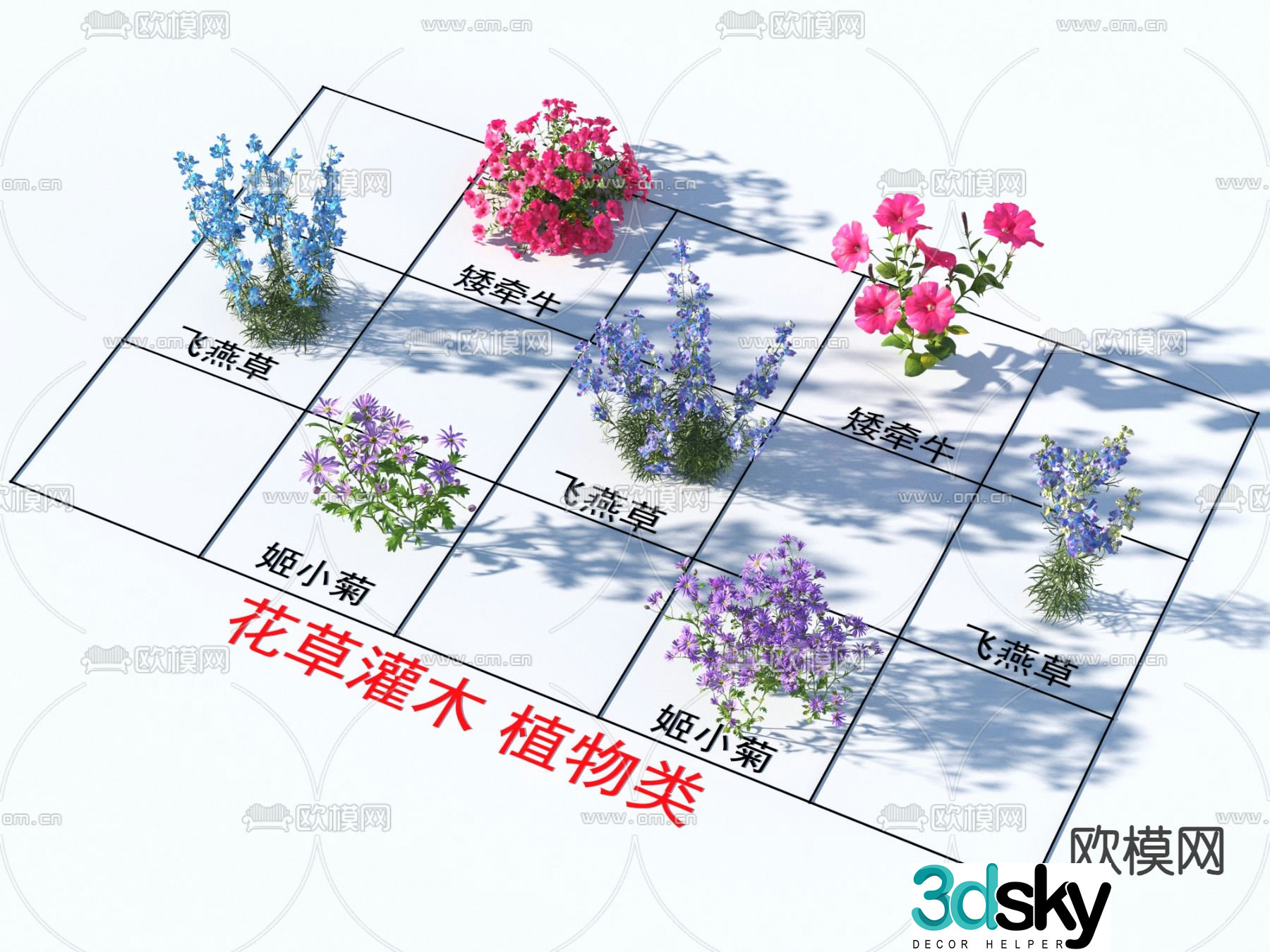 Petunia delphinium Ji Xiaoju shrubs and flowers 3D model