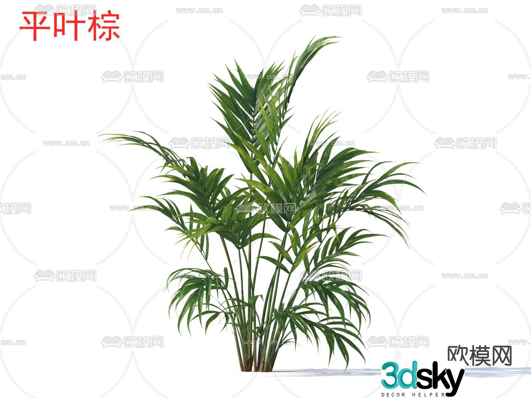 Flat leaf brown flowers plants and shrubs 3d model