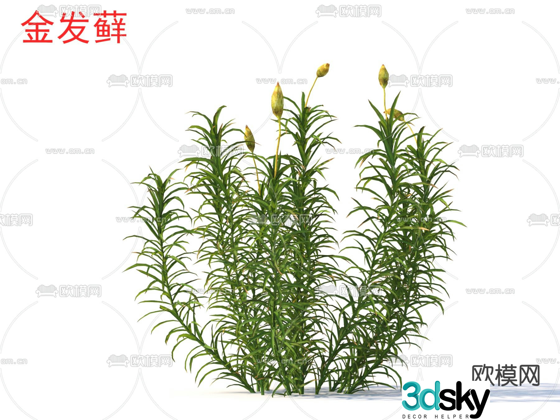 Blonde moss flowers plants shrubs 3d model