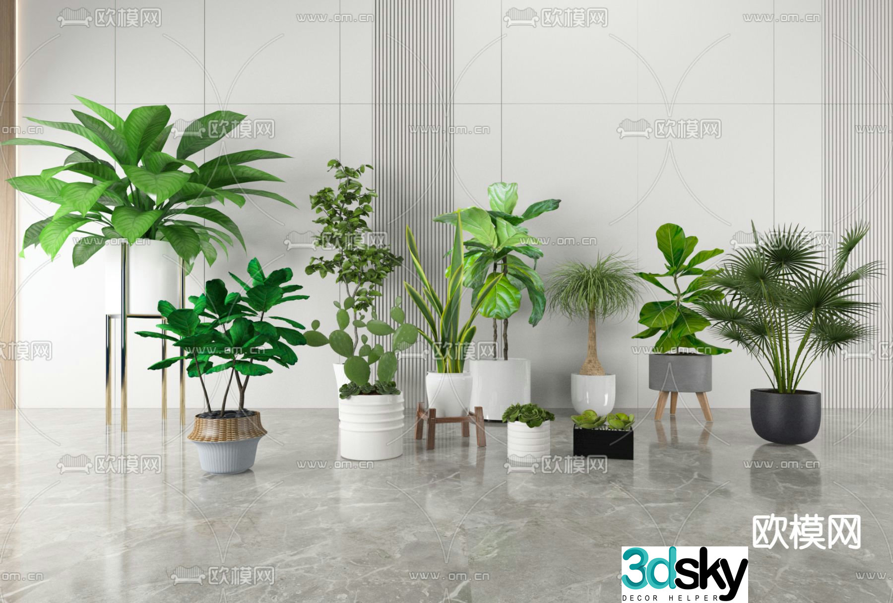 Fern potted plant Cactus Palm 3d model