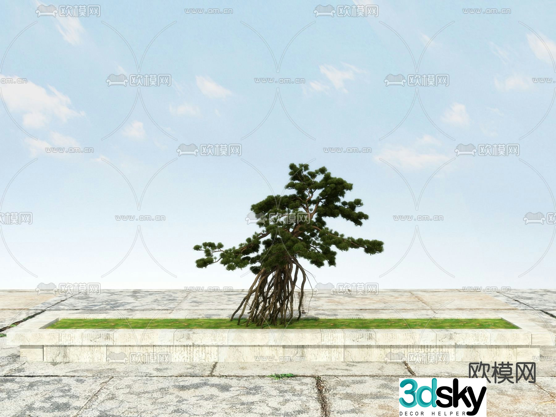 New Chinese-style pine tree Podocarat Welcoming Pine 3D model