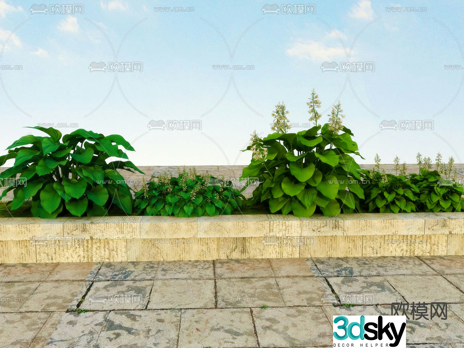 Flowers and plants Landscape plants 3d model