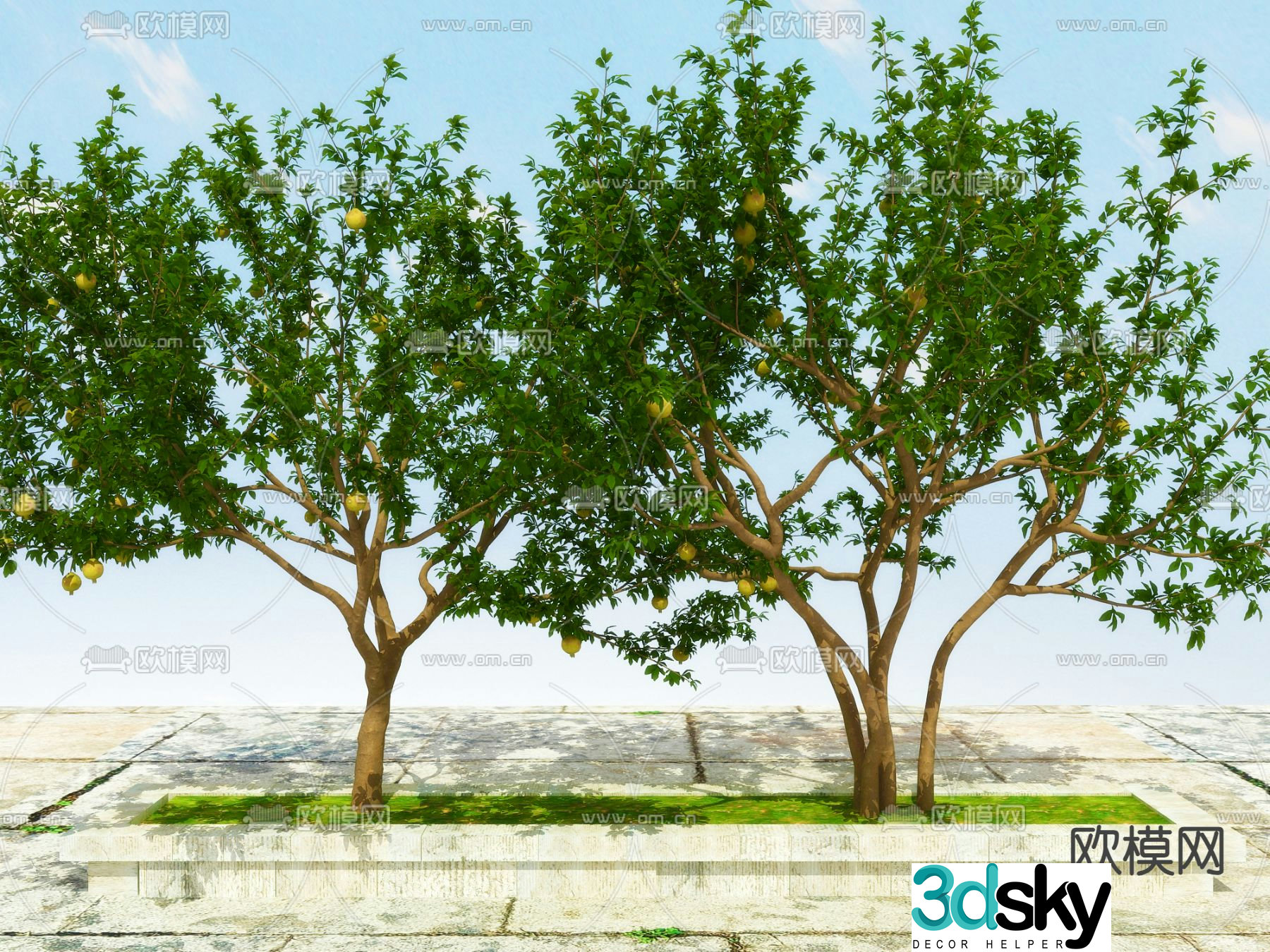 Big tree Fruit tree Pomegranate tree 3d model