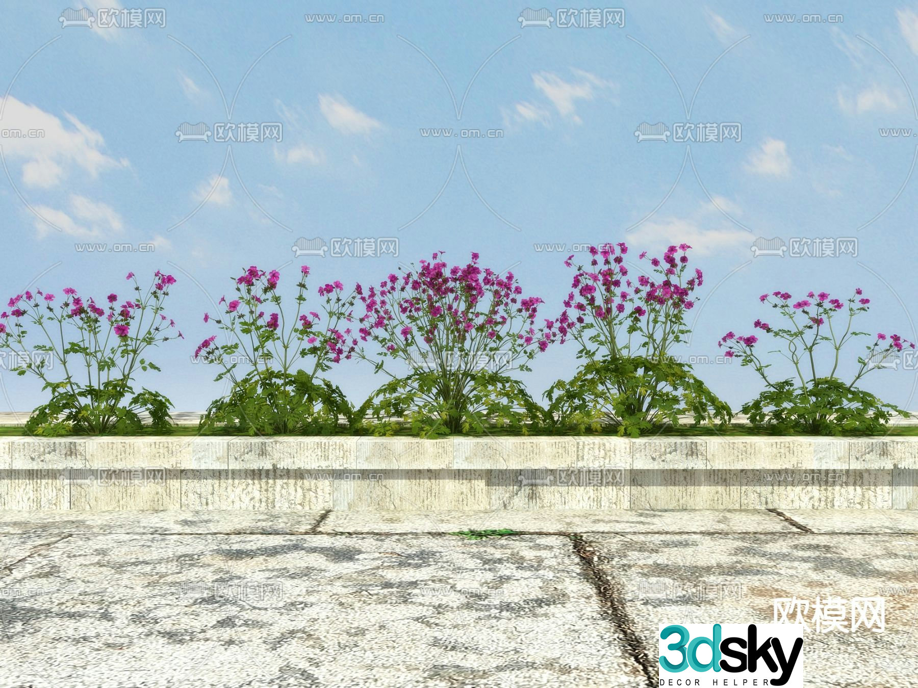 Flowering shrubs flower trough garden plants 3d model