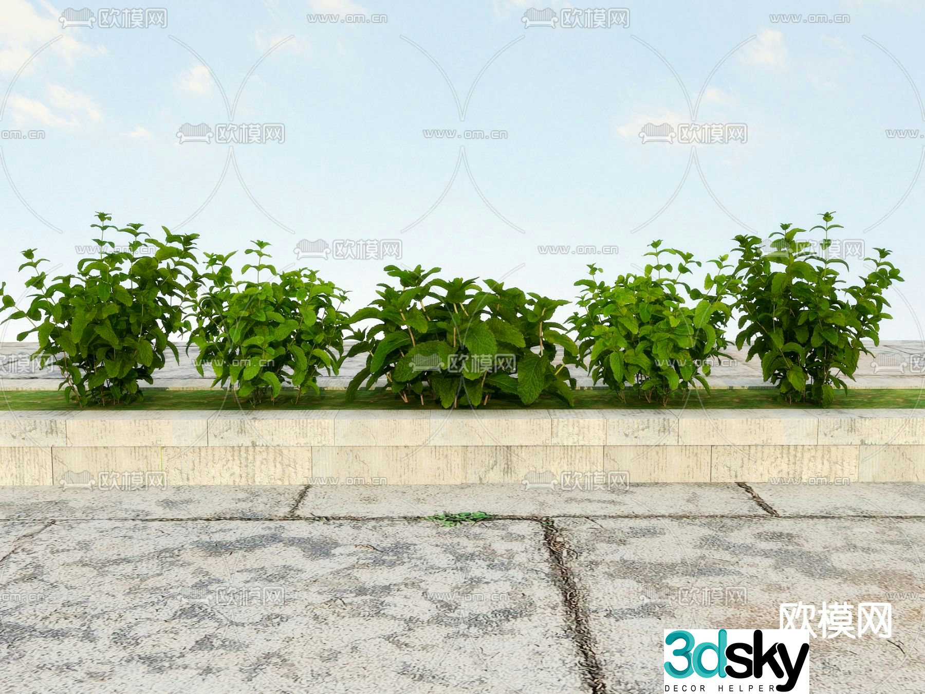 Shrimp vegetables flower tank garden green plants 3D model