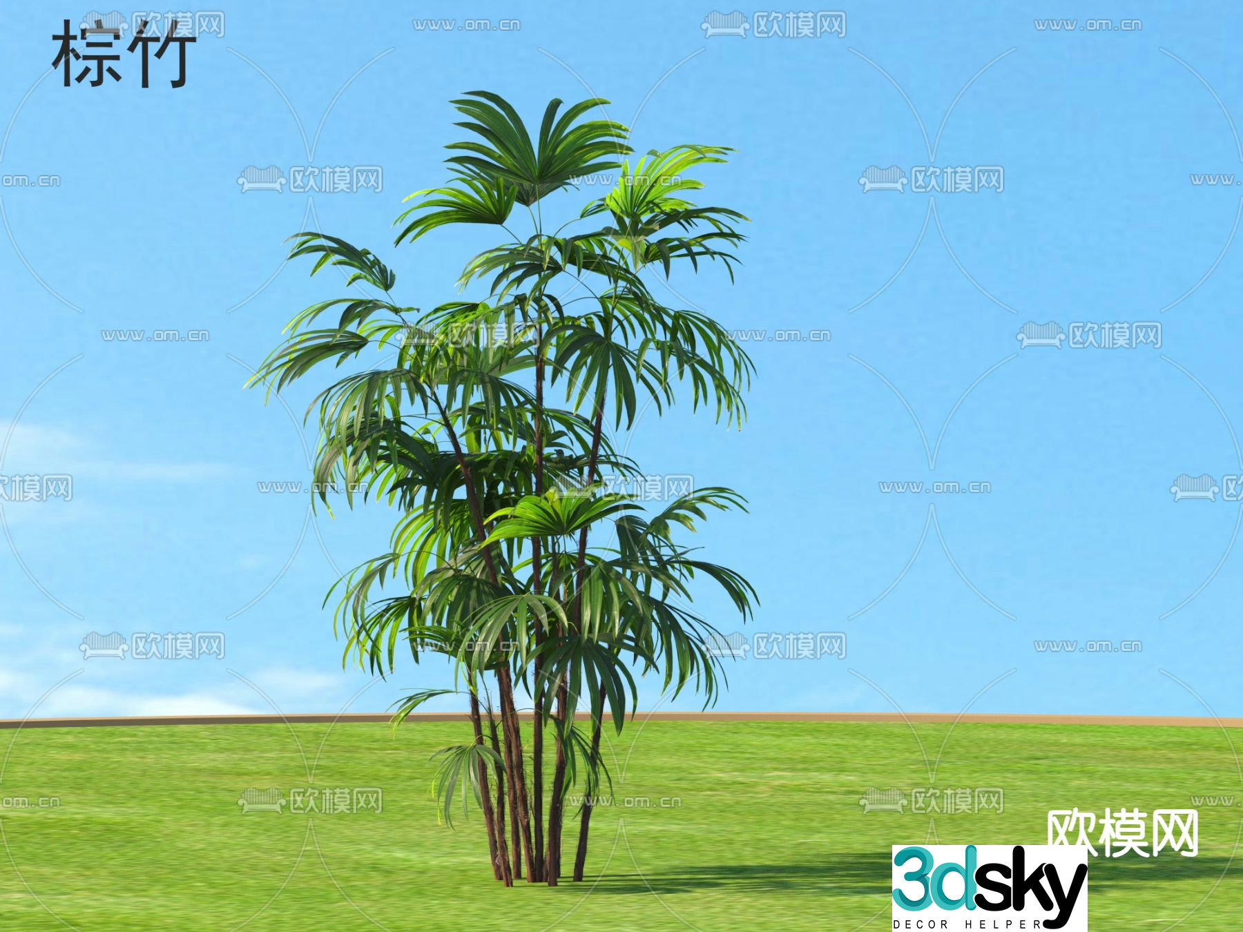 bamboo brown bamboo 3d model