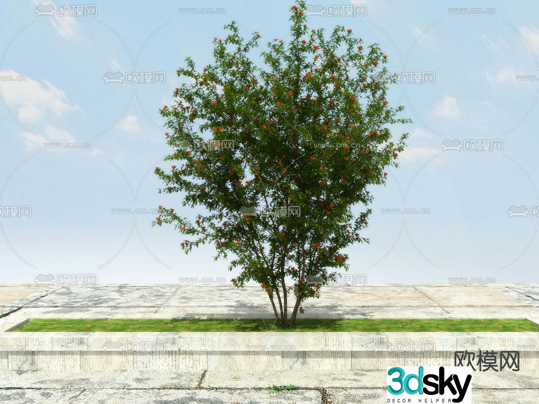 Pomegranate tree Flowering tree Flower trough 3D model