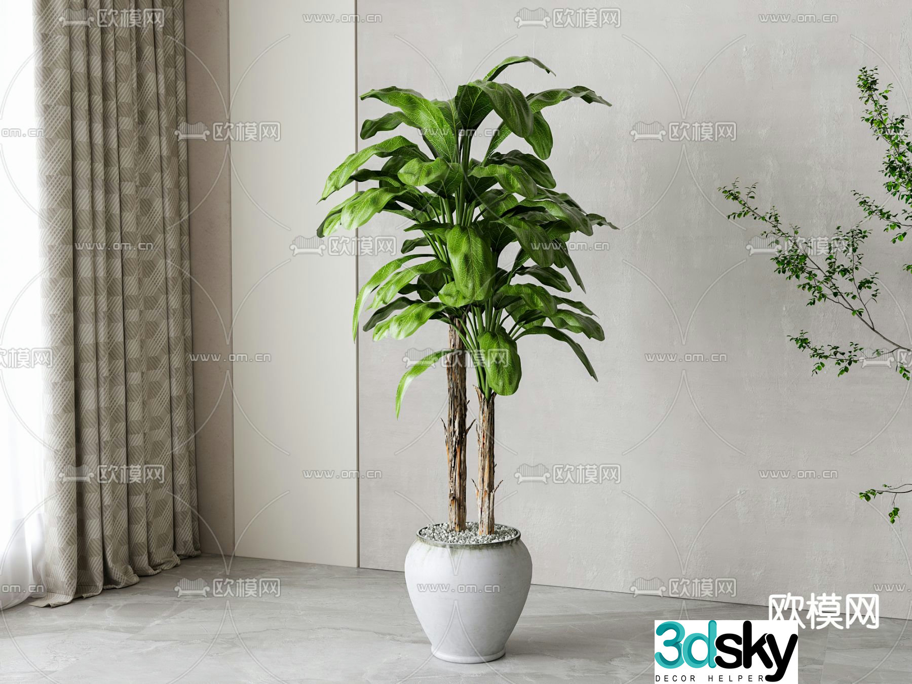 Potted plant Dieffenbachia 3D model