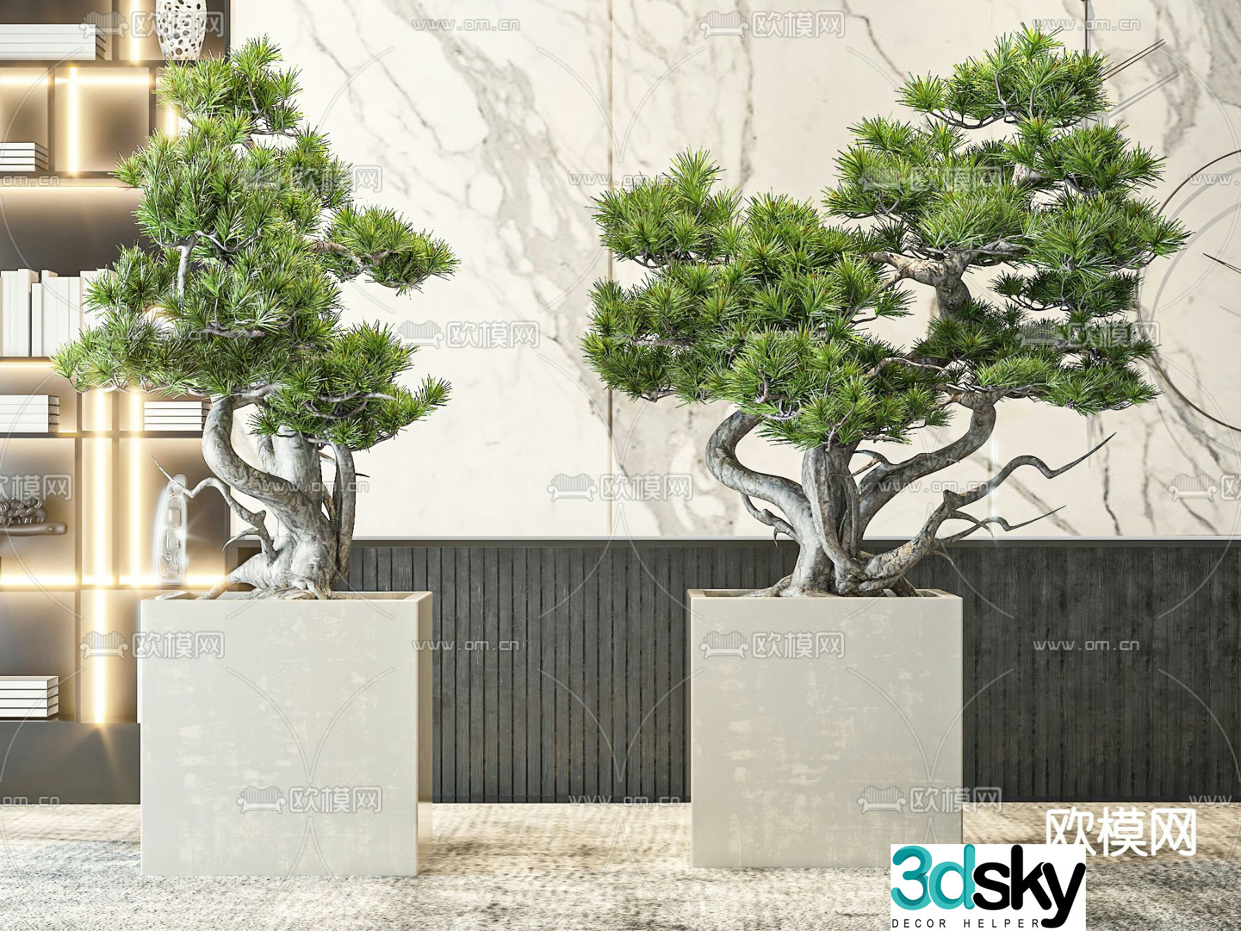 Chinese bonsai pine tree welcoming pine 3D model