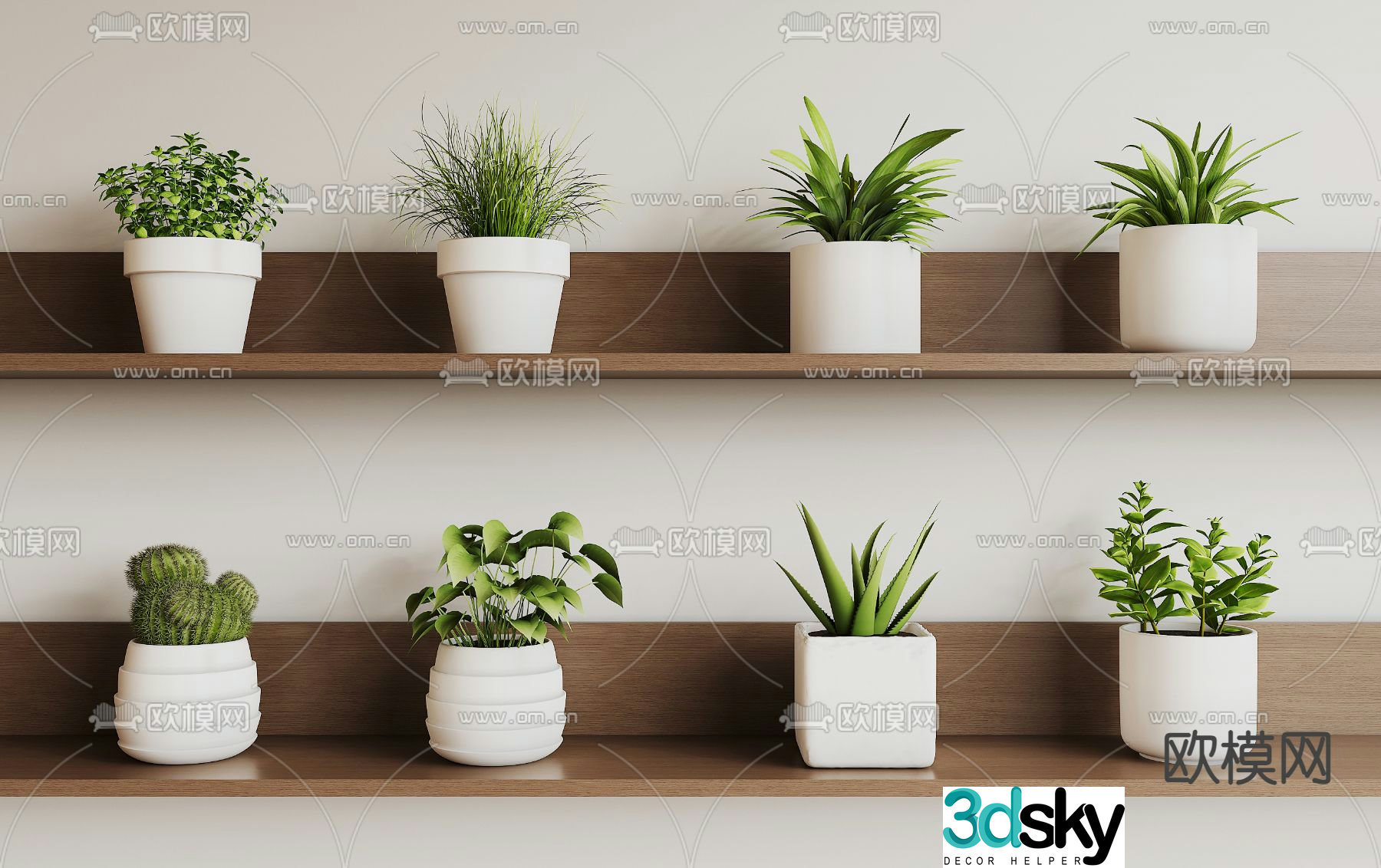 Succulent potted plant small potted plant 3D model