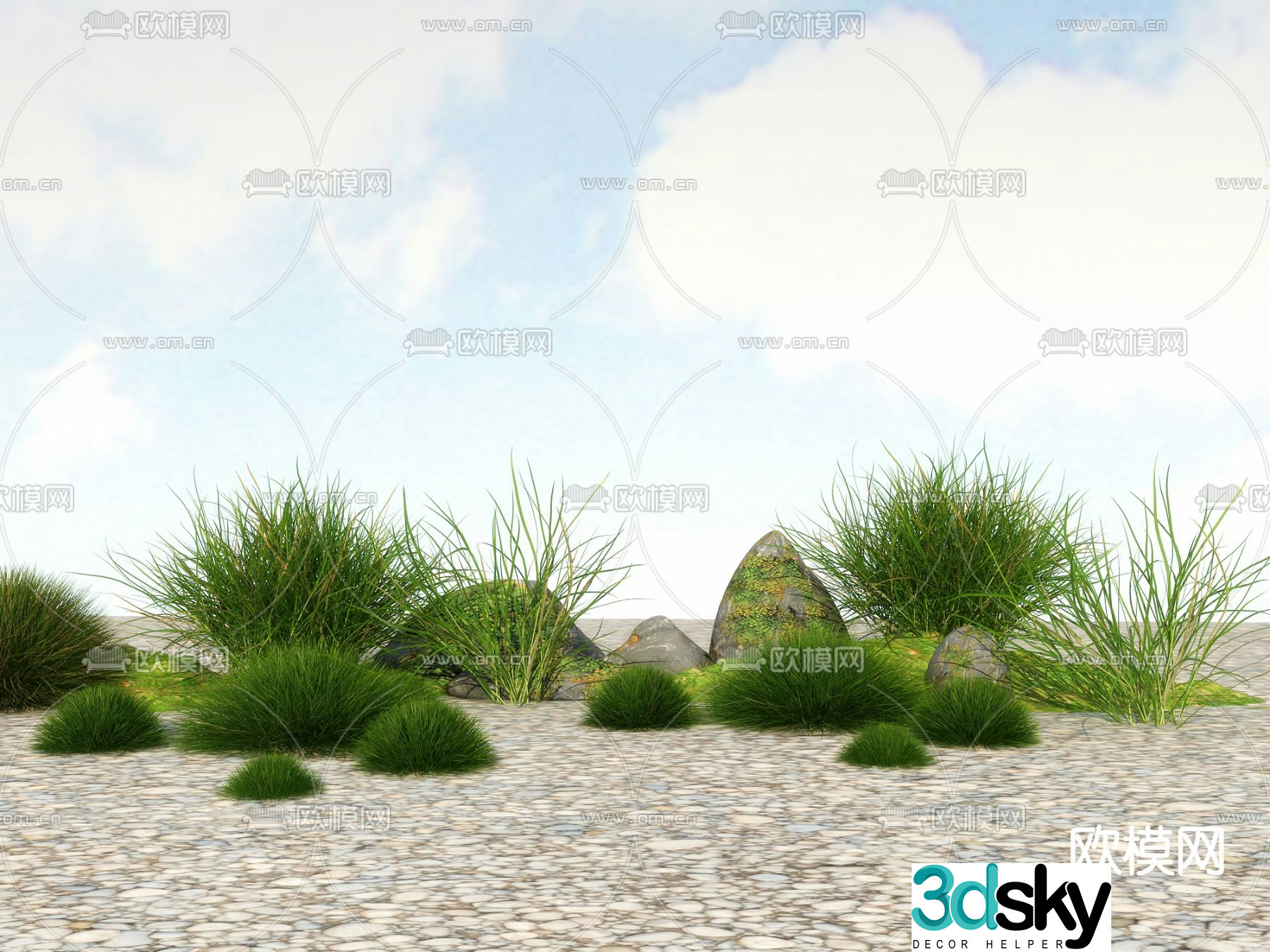 Flowers and plants Wild grass Weeds 3d model