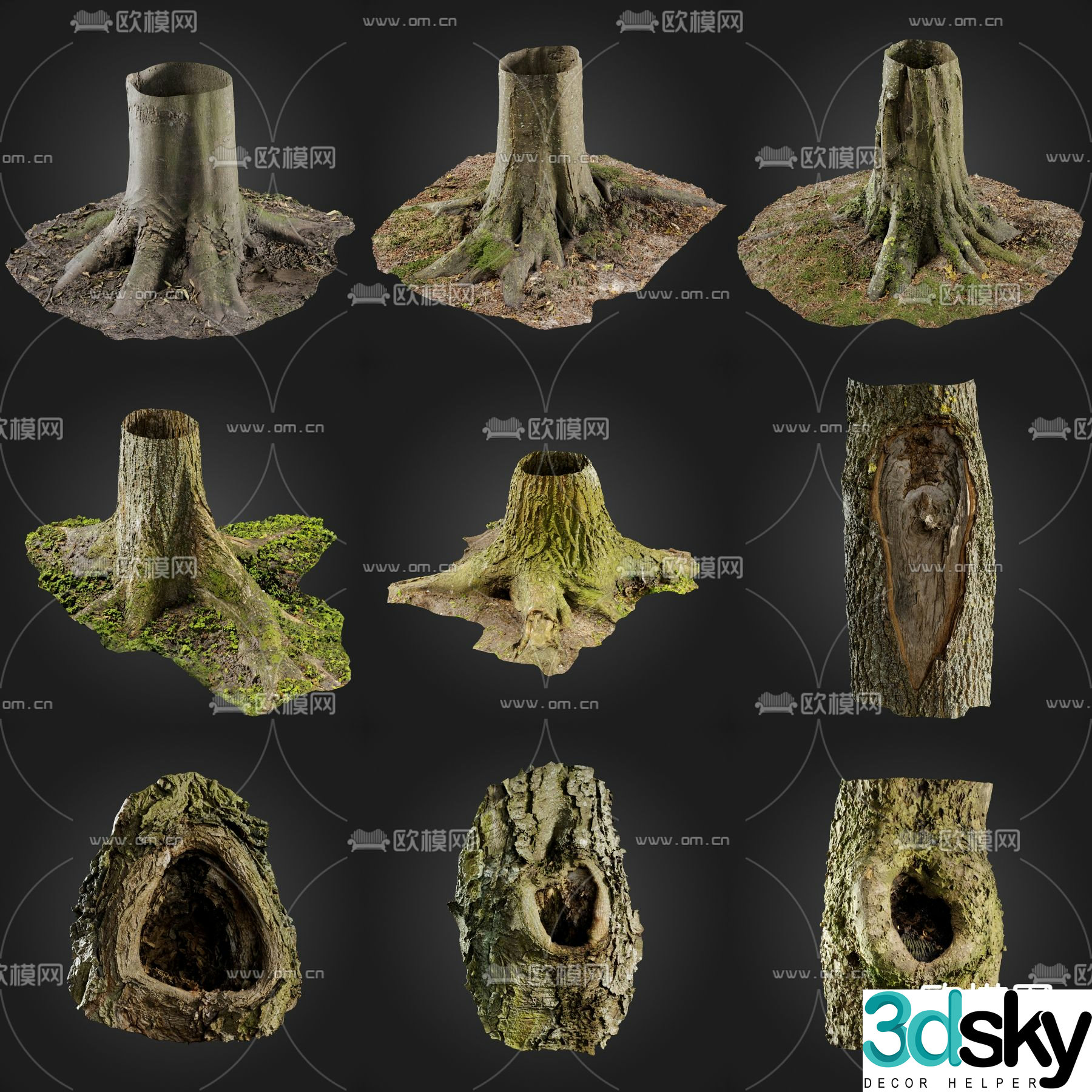 Tree trunk tree stump tree hole bark 3d model