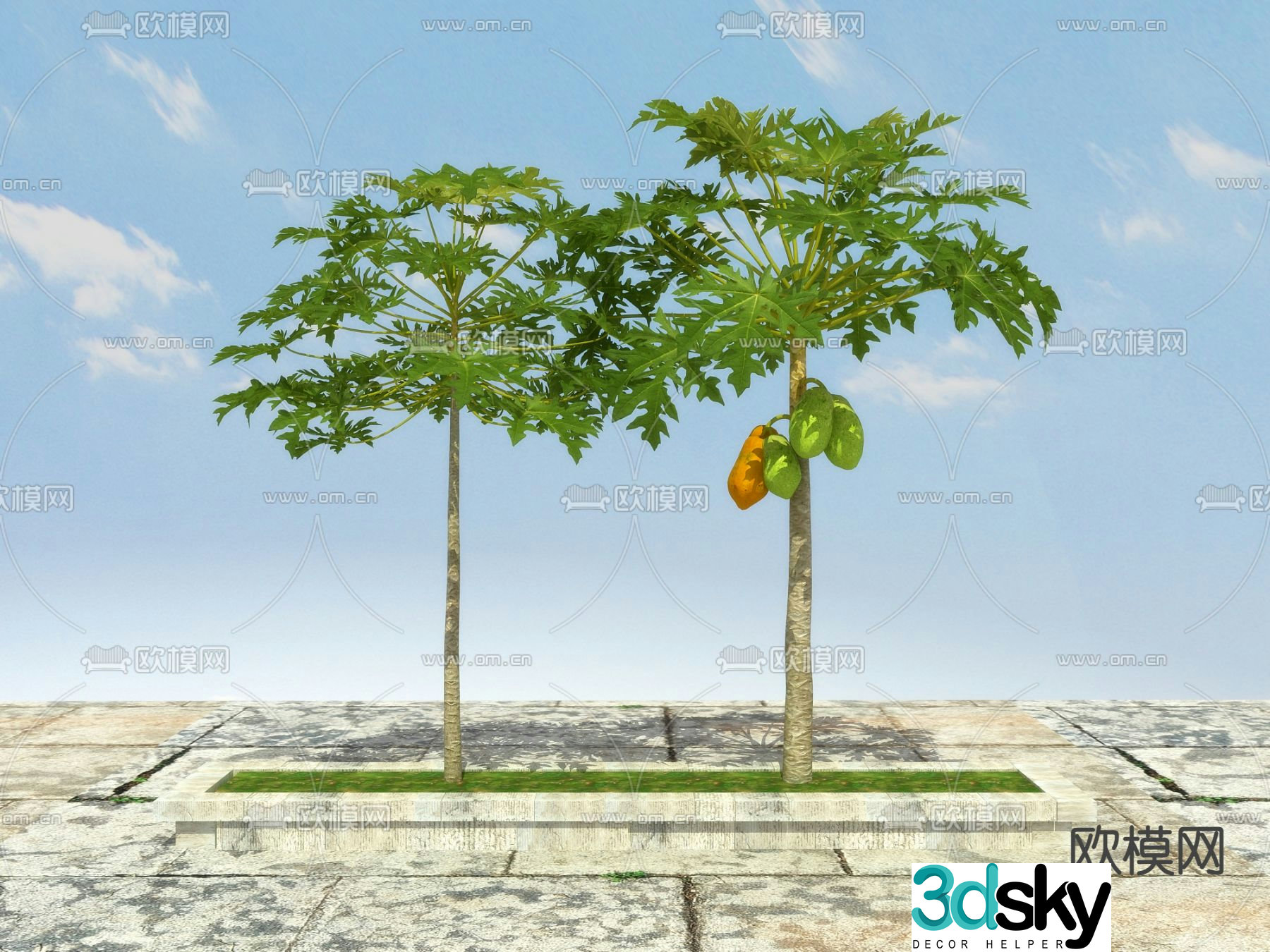 Landscape tree Fruit tree Papaya tree 3d model