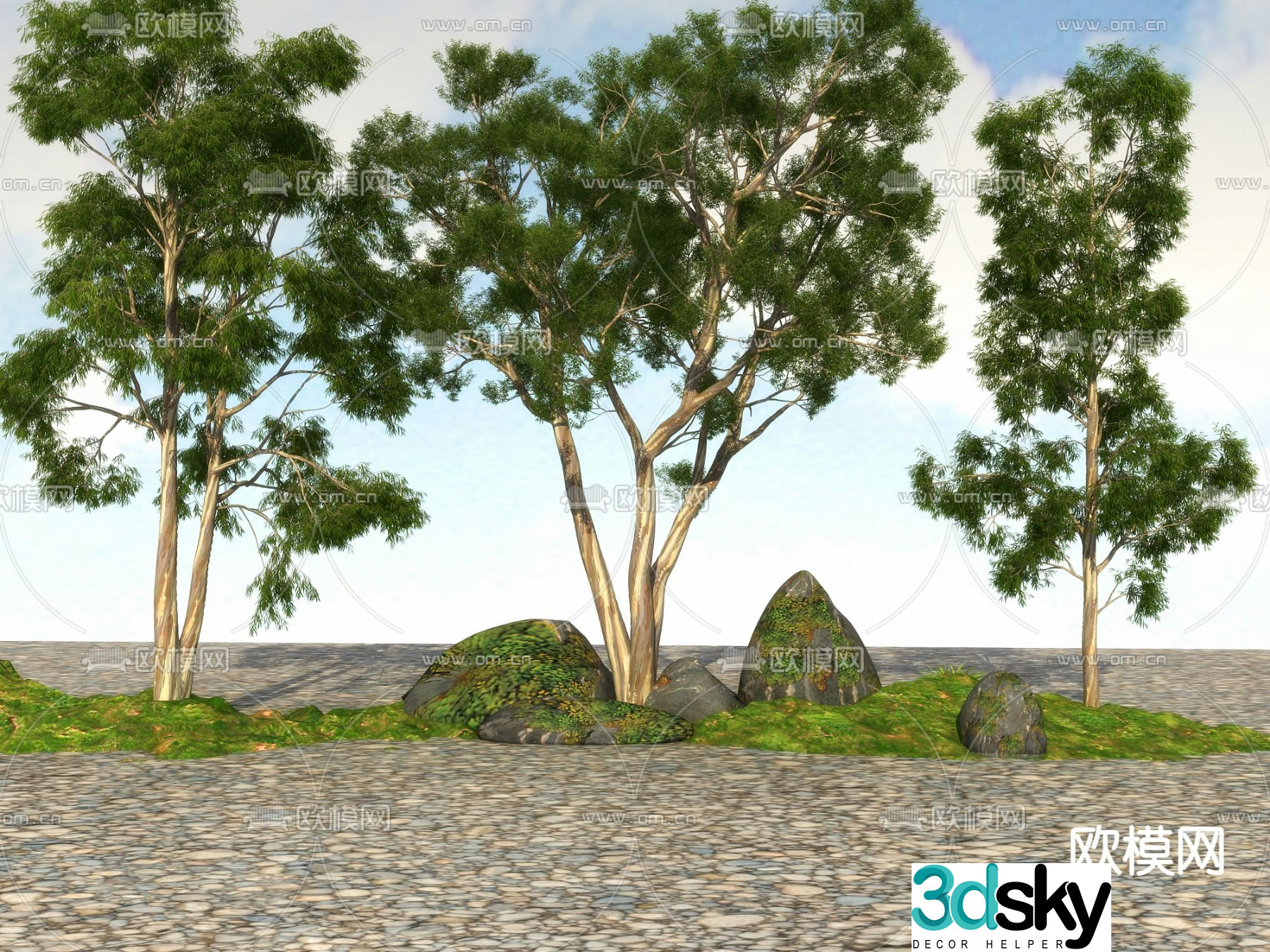 Big tree Landscape tree Street tree 3d model