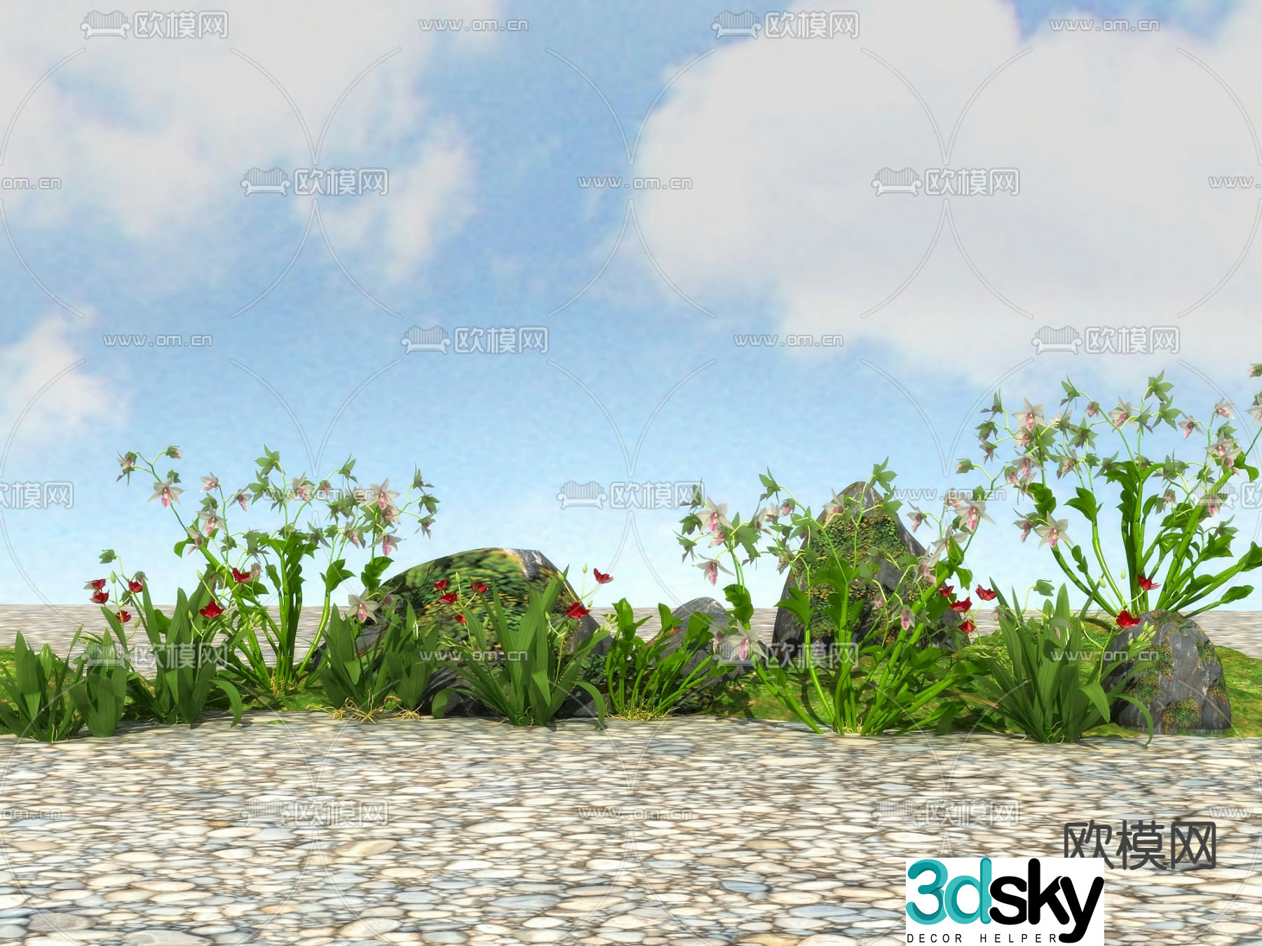 Flowers and plants Wildflowers 3D model