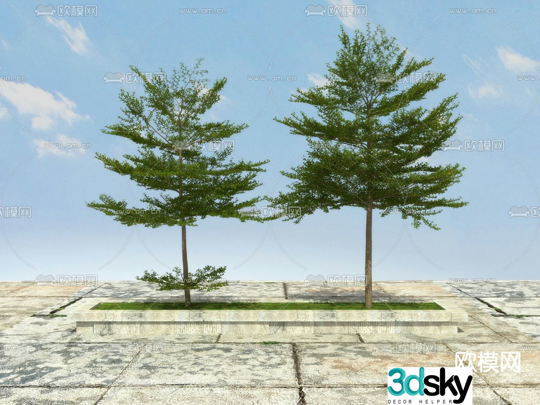 Landscape tree tree ginkgo 3d model