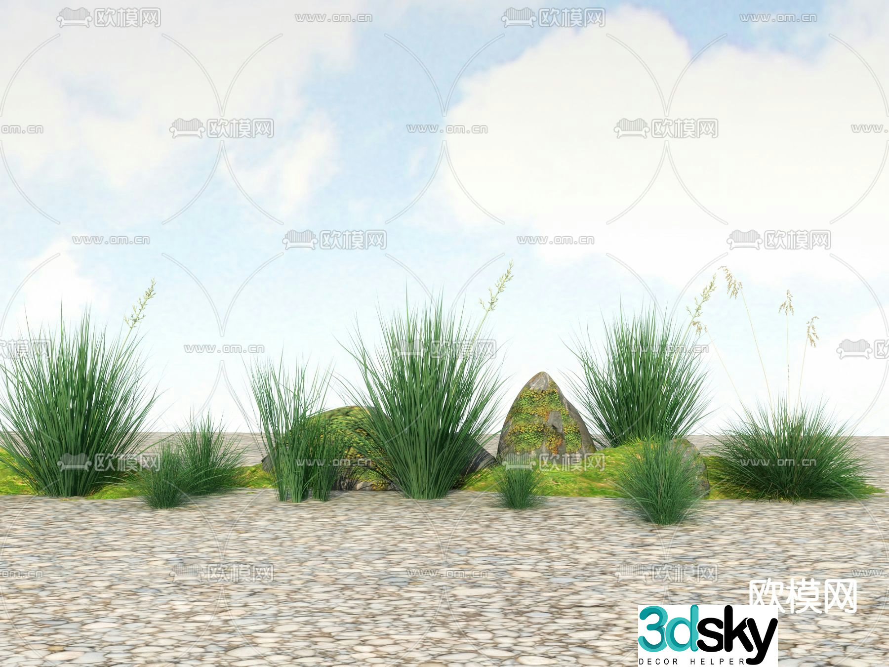 Flowers and plants Wild grass Reeds 3D model