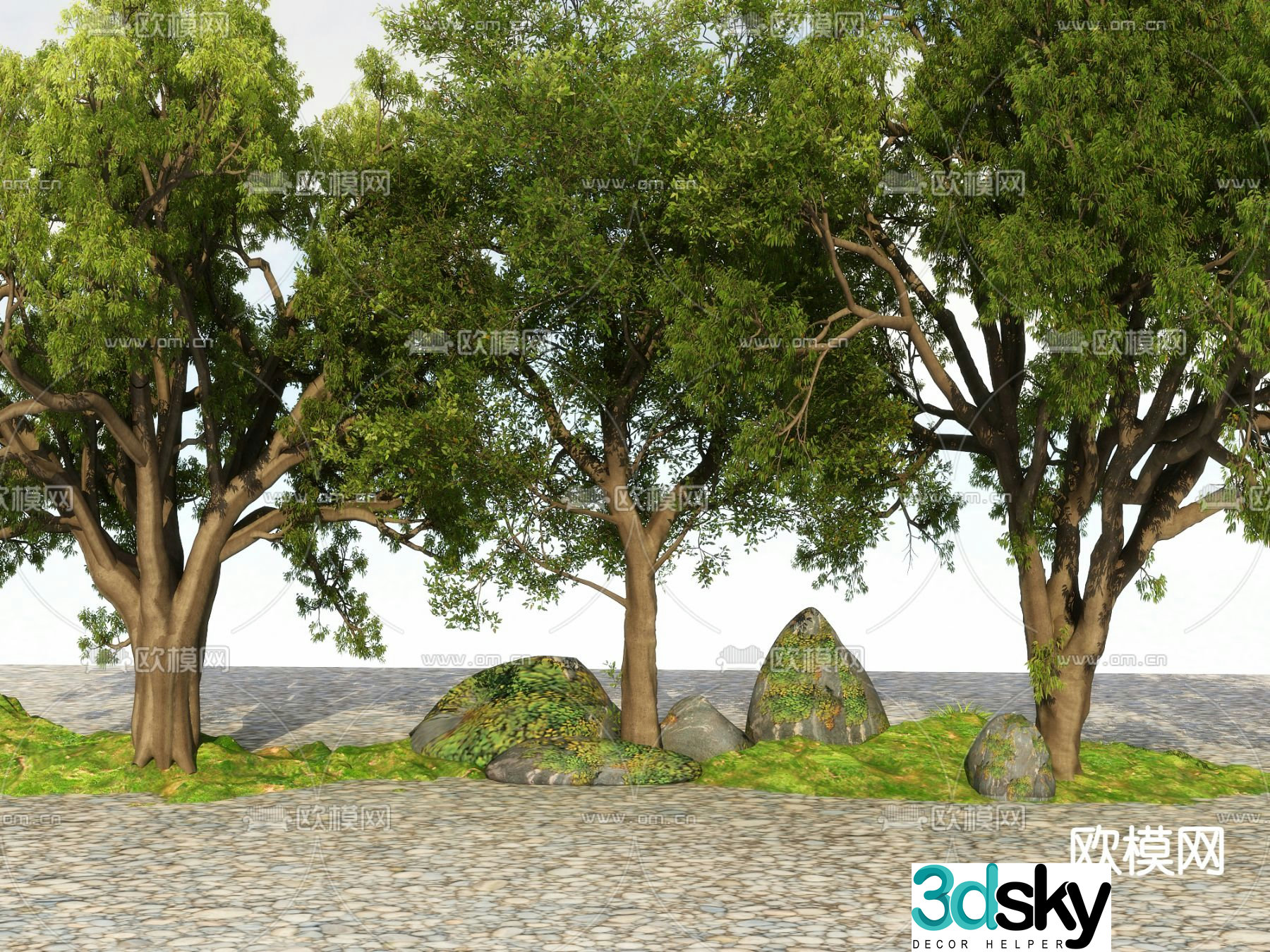 Big tree Landscape tree Street tree 3d model